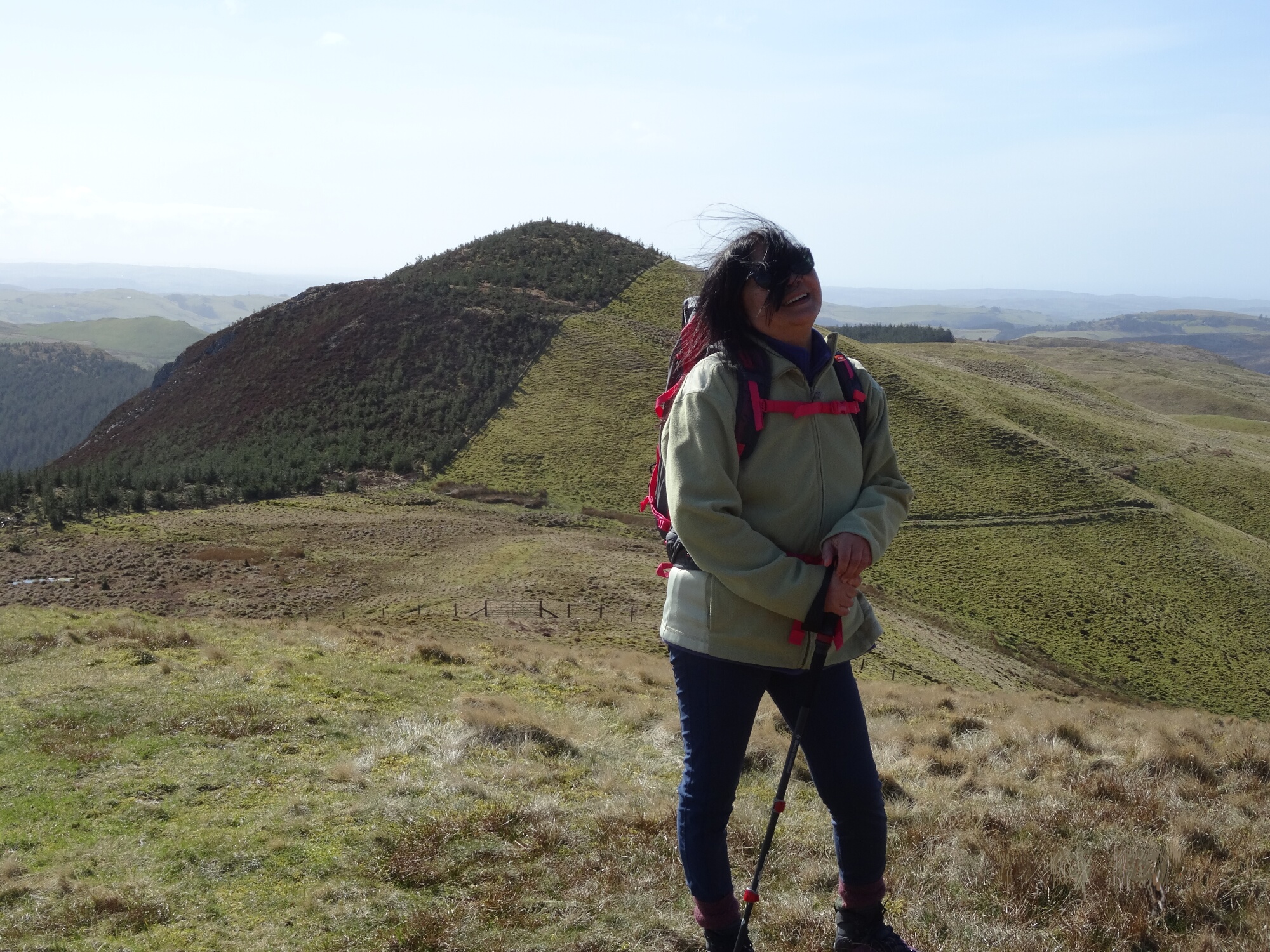 RachelSeabrook.net | Wild Walking | Ponterwyd and Pen Dihewyd | pic27